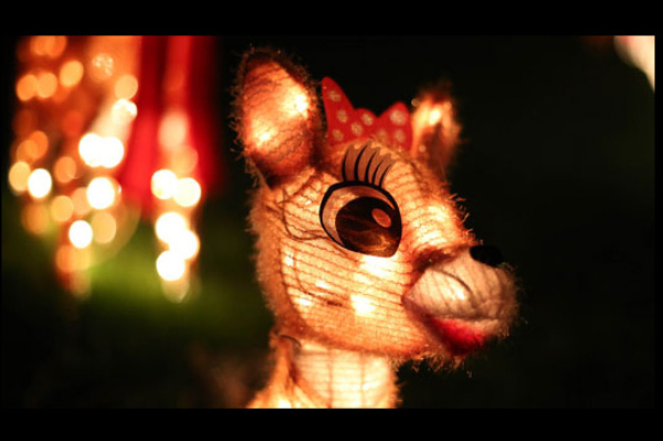 Holiday Decorations